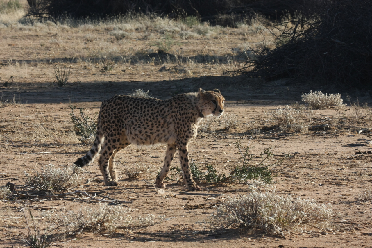 [1223] 2016_06_22_02_56_16_Africa_Canon_EOS_40D_IMG__00234.jpg