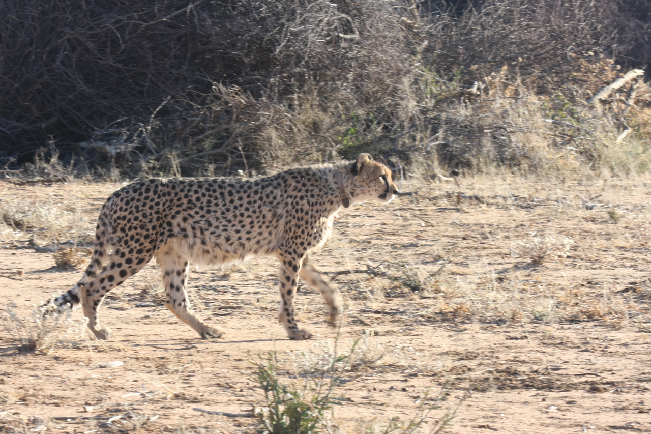 [1229] 2016_06_22_02_56_22_Africa_Canon_EOS_40D_IMG__00236.jpg