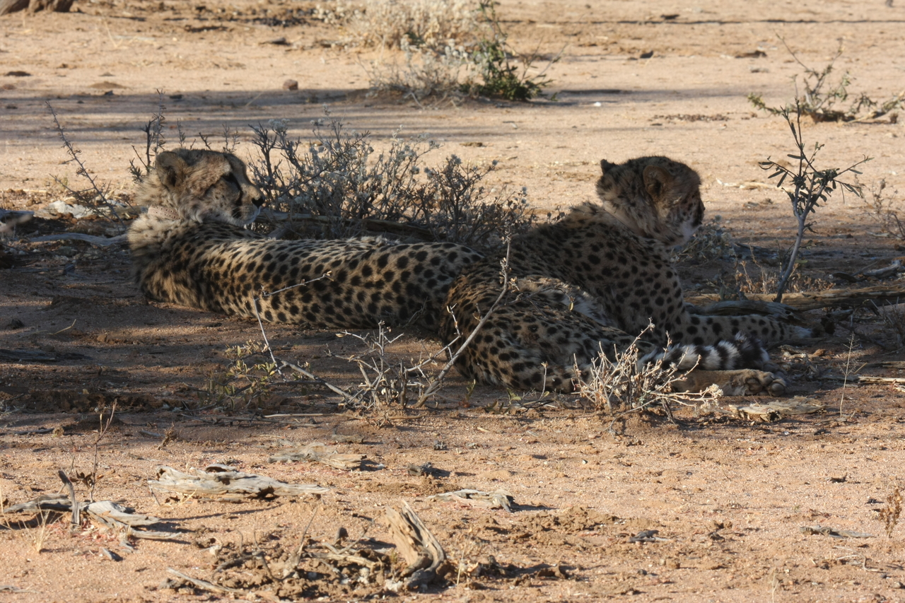 [1250] 2016_06_22_02_59_29_Africa_Canon_EOS_40D_IMG__07688.jpg