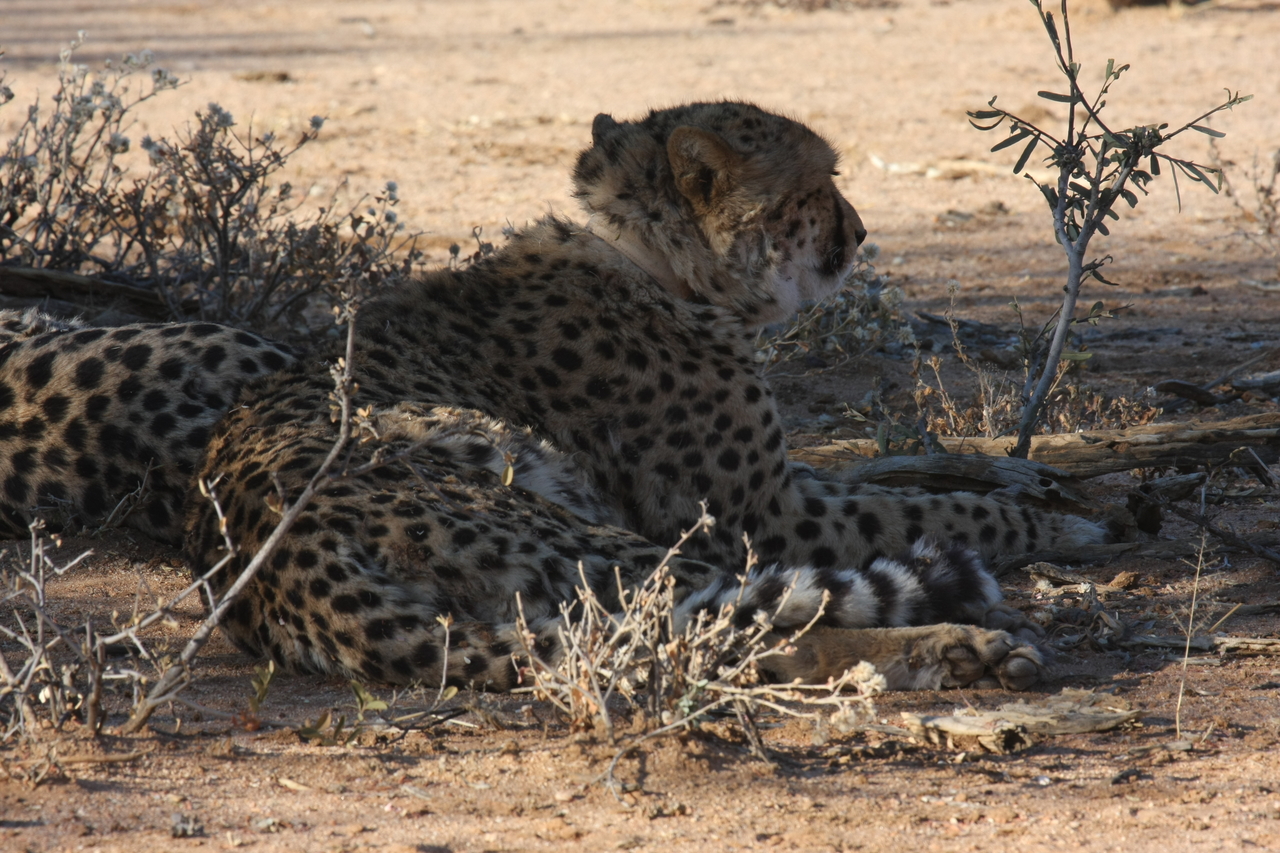 [1254] 2016_06_22_02_59_35_Africa_Canon_EOS_40D_IMG__00243.jpg