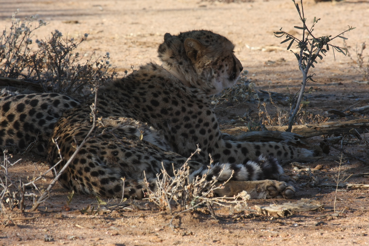 [1255] 2016_06_22_02_59_35_Africa_Canon_EOS_40D_IMG__07689.jpg