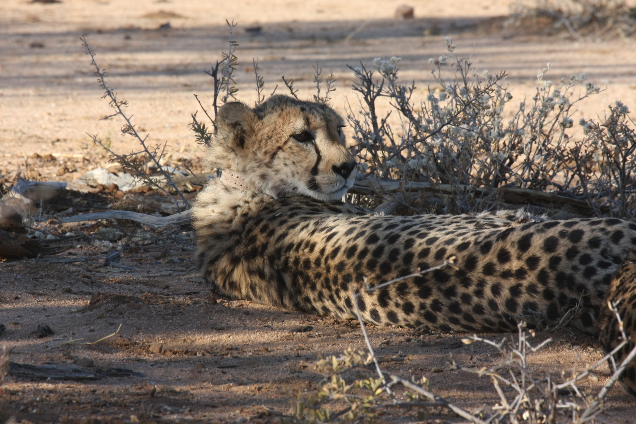 [1262] 2016_06_22_02_59_45_Africa_Canon_EOS_40D_IMG__07692.jpg