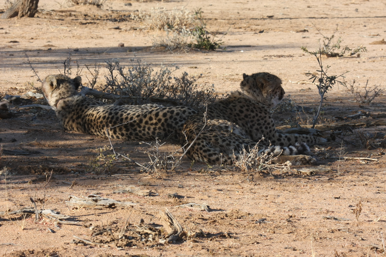 [1267] 2016_06_22_03_00_04_Africa_Canon_EOS_40D_IMG__07693.jpg