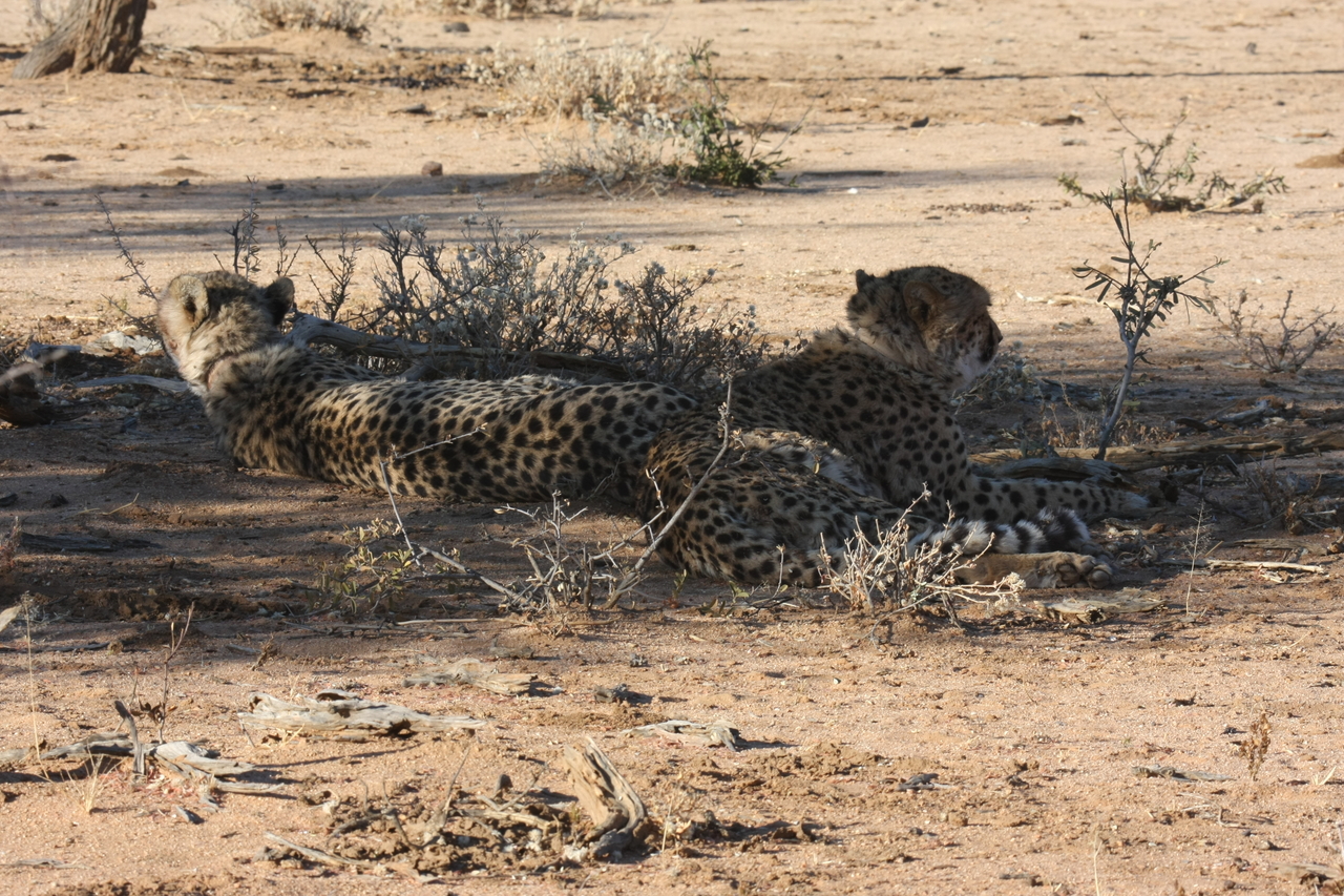 [1270] 2016_06_22_03_00_05_Africa_Canon_EOS_40D_IMG__00248.jpg