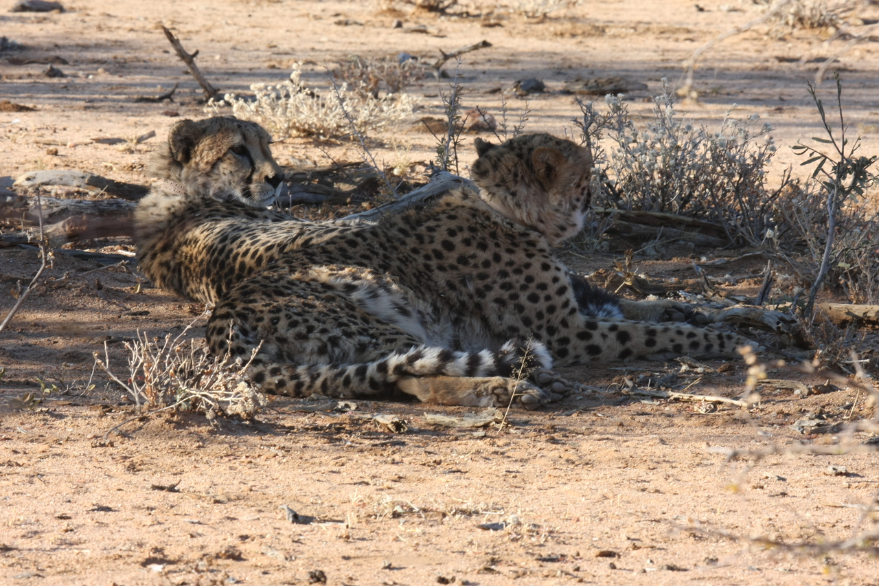 [1276] 2016_06_22_03_00_26_Africa_Canon_EOS_40D_IMG__00249.jpg