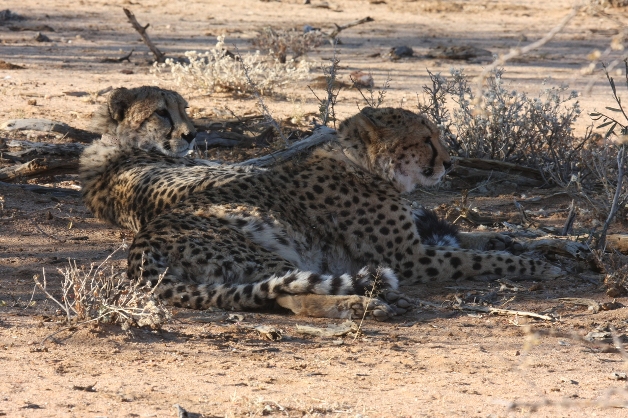 [1283] 2016_06_22_03_00_43_Africa_Canon_EOS_40D_IMG__00252.jpg