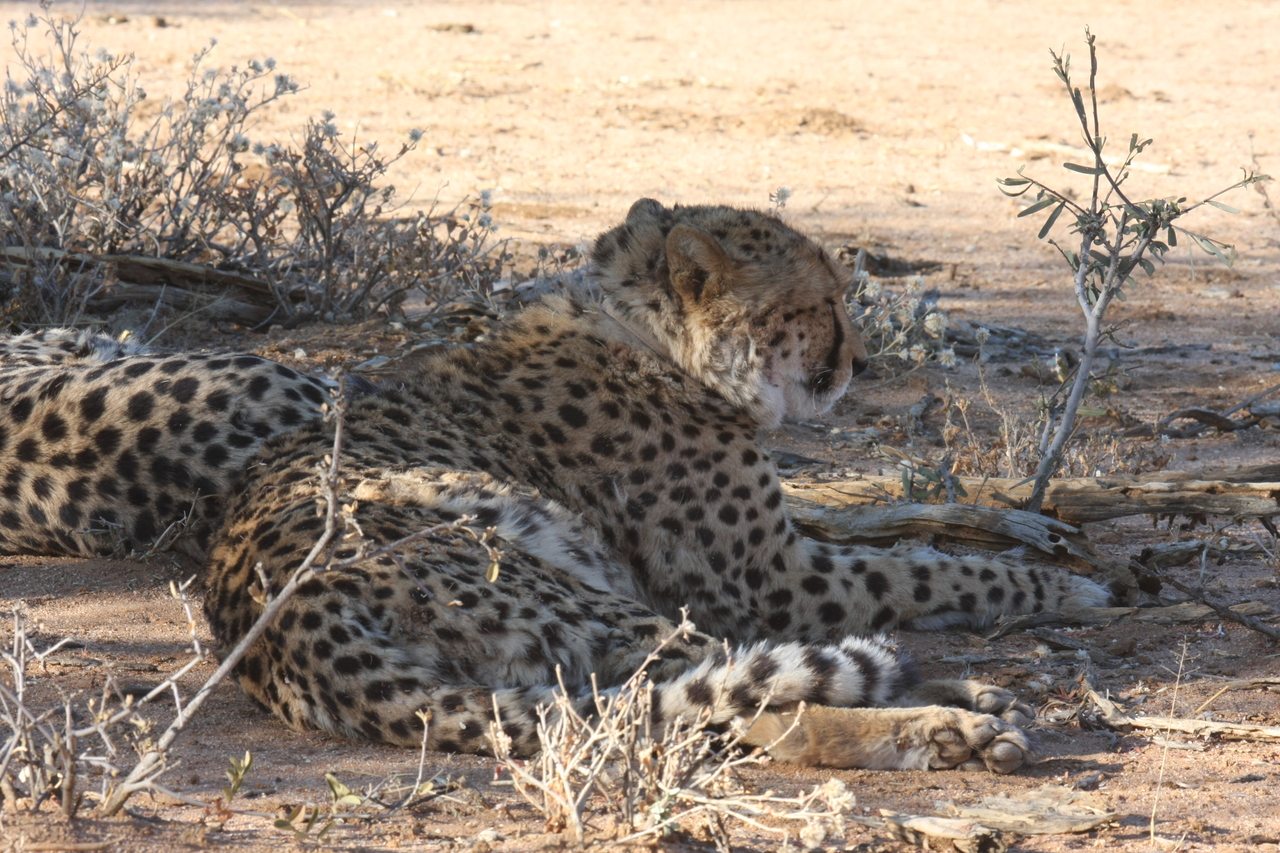 [1302] 2016_06_22_03_01_36_Africa_Canon_EOS_40D_IMG__00256.jpg