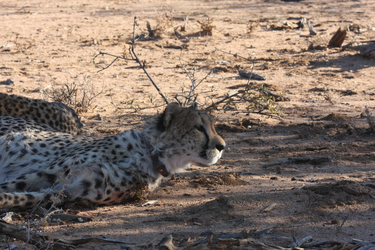 [1389] 2016_06_22_03_05_10_Africa_Canon_EOS_40D_IMG__00267.jpg