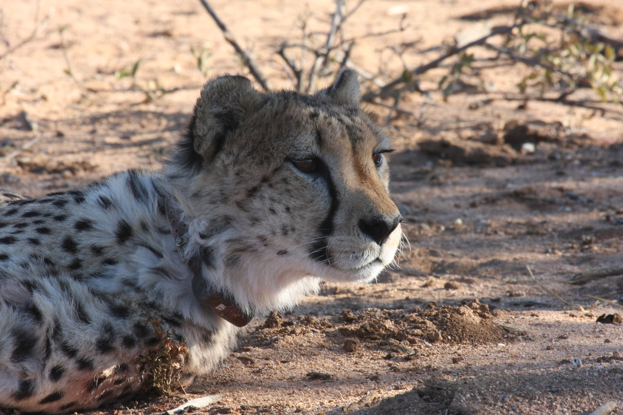 [1402] 2016_06_22_03_05_20_Africa_Canon_EOS_40D_IMG__00272.jpg