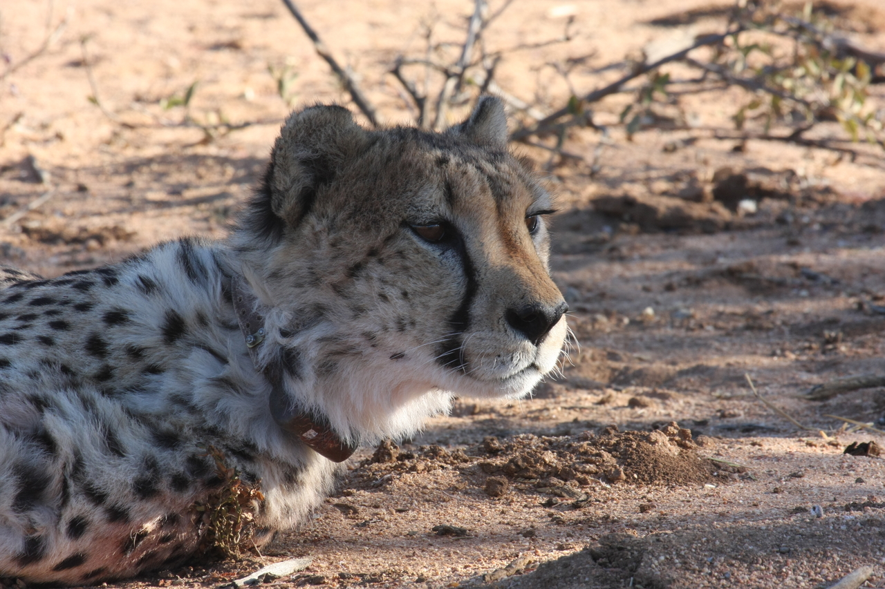 [1410] 2016_06_22_03_05_21_Africa_Canon_EOS_40D_IMG__00274.jpg