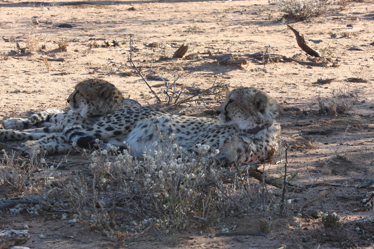 [1443] 2016_06_22_03_06_23_Africa_Canon_EOS_40D_IMG__00285.jpg