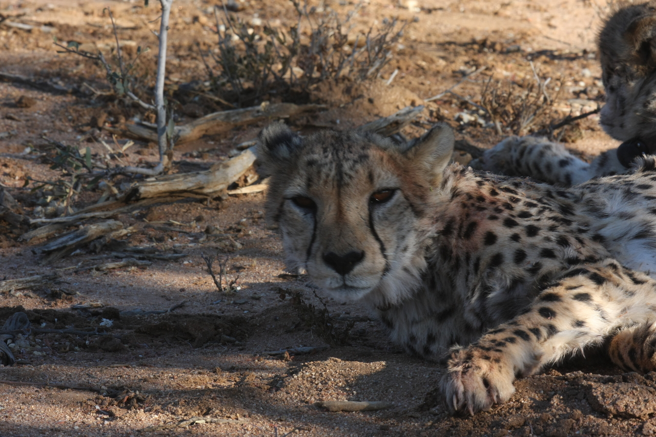 [1546] 2016_06_22_03_11_50_Africa_Canon_EOS_40D_IMG__00318.jpg