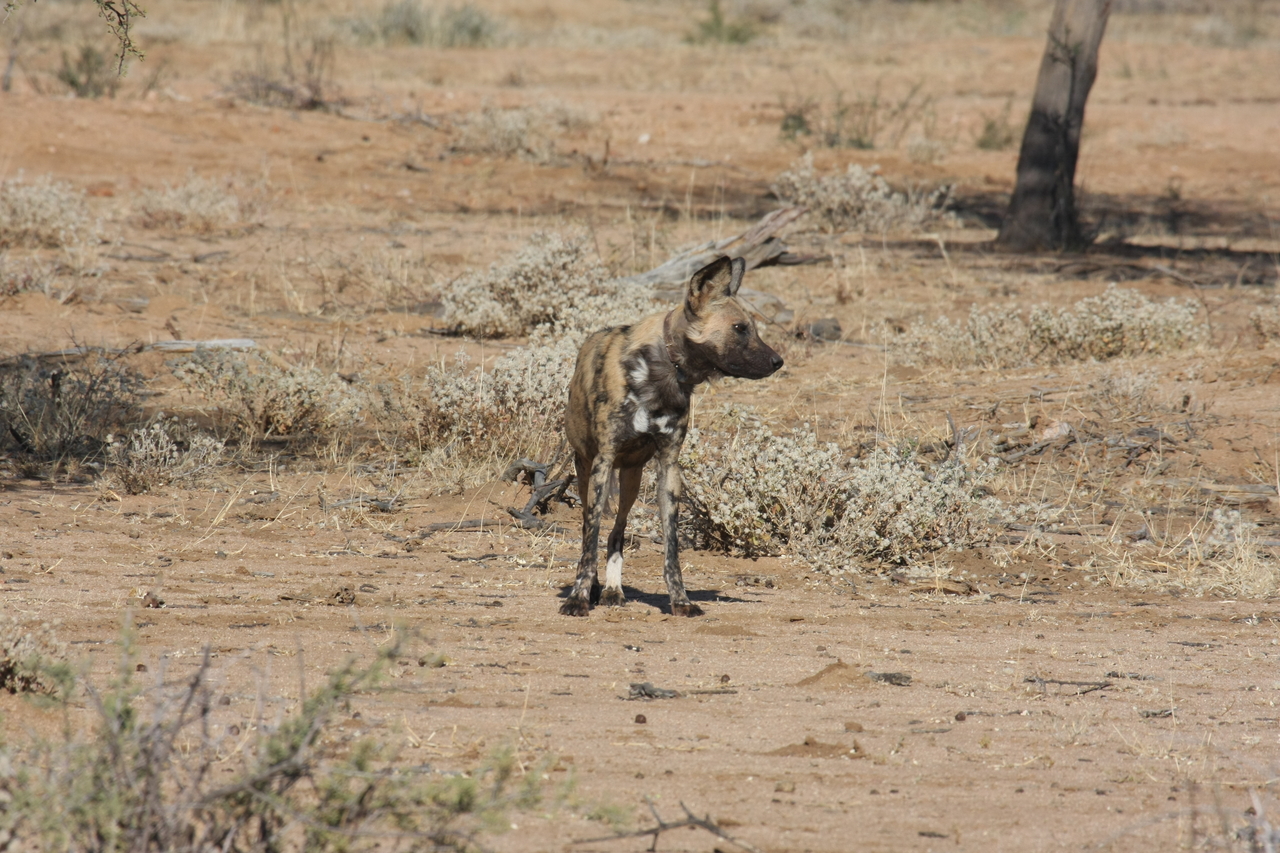 [1677] 2016_06_22_03_19_46_Africa_Canon_EOS_40D_IMG__00353.jpg