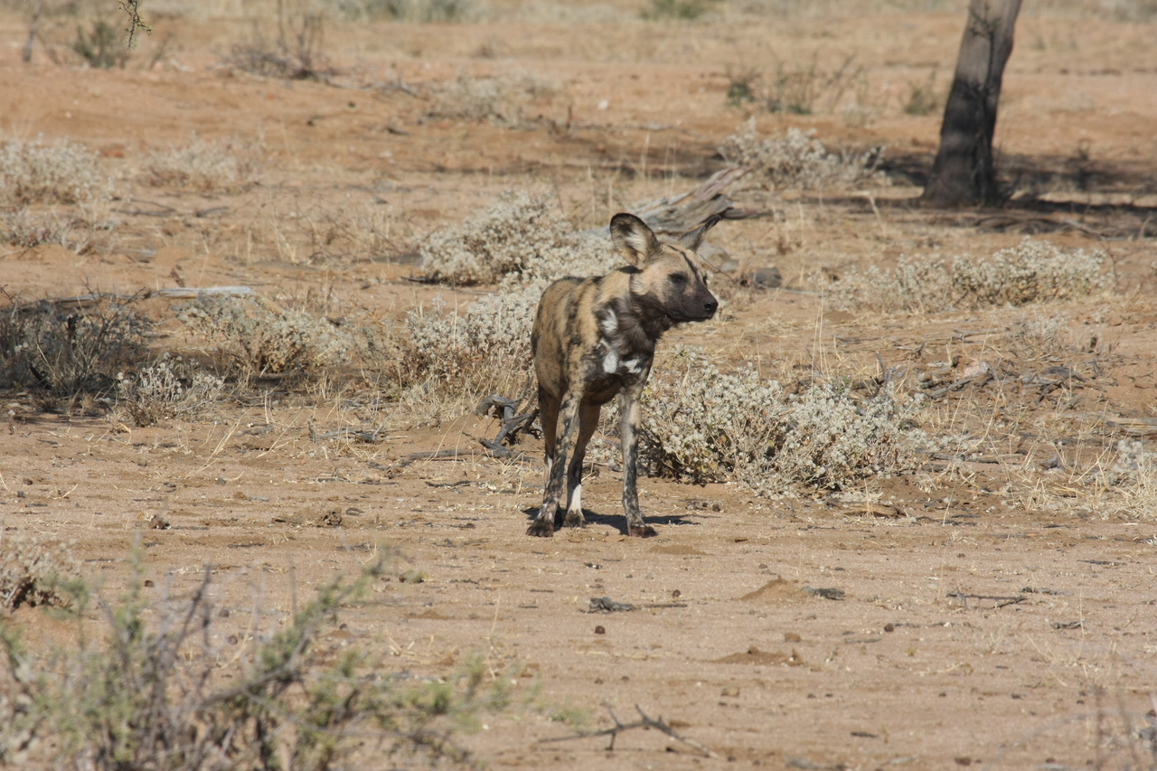 [1682] 2016_06_22_03_19_47_Africa_Canon_EOS_40D_IMG__00356.jpg