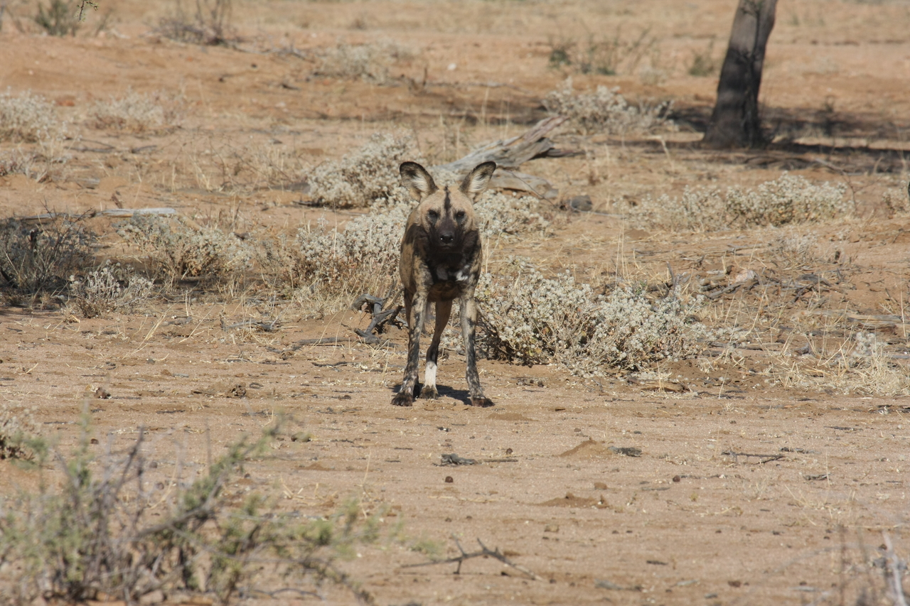 [1692] 2016_06_22_03_19_50_Africa_Canon_EOS_40D_IMG__00358.jpg