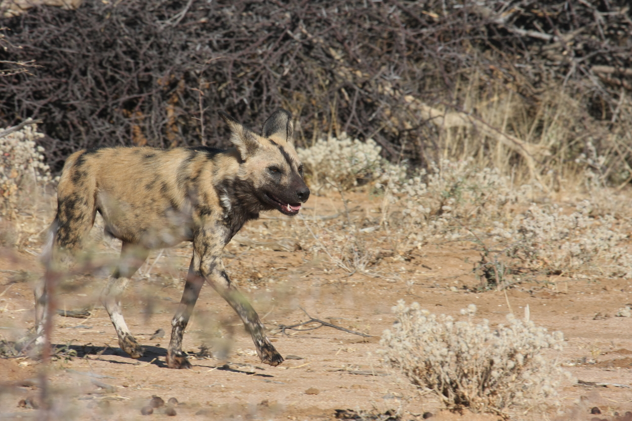 [1748] 2016_06_22_03_20_23_Africa_Canon_EOS_40D_IMG__00394.jpg