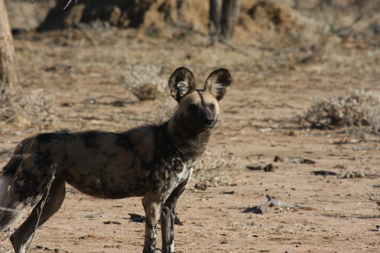 [1770] 2016_06_22_03_20_35_Africa_Canon_EOS_40D_IMG__07848.jpg