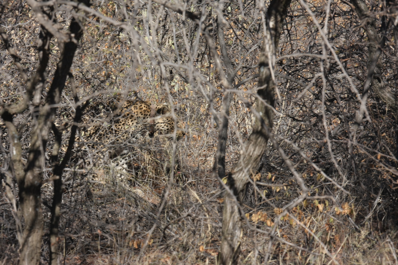 [1971] 2016_06_22_03_56_53_Africa_Canon_EOS_40D_IMG__07907.jpg