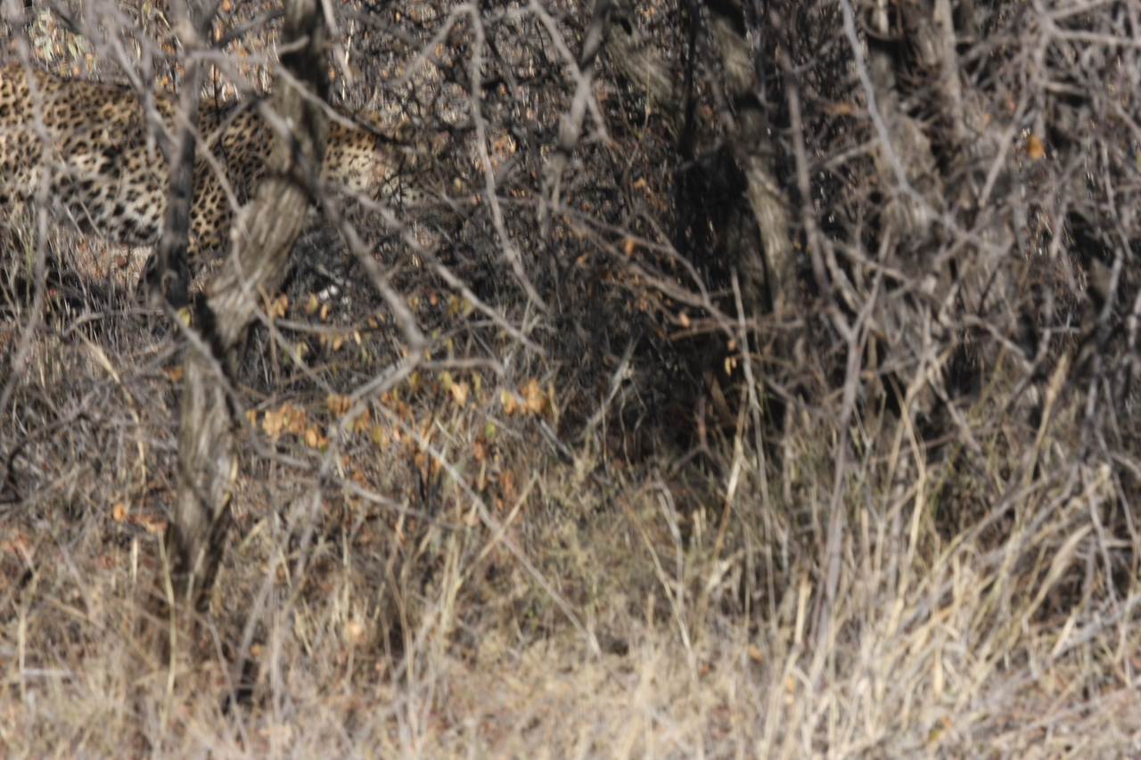 [1976] 2016_06_22_03_56_54_Africa_Canon_EOS_40D_IMG__07910.jpg