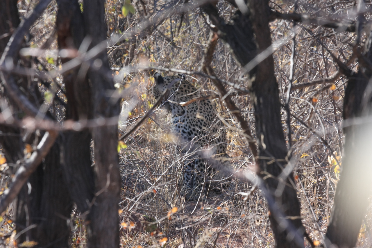 [1978] 2016_06_22_04_05_09_Africa_Canon_EOS_40D_IMG__00446.jpg