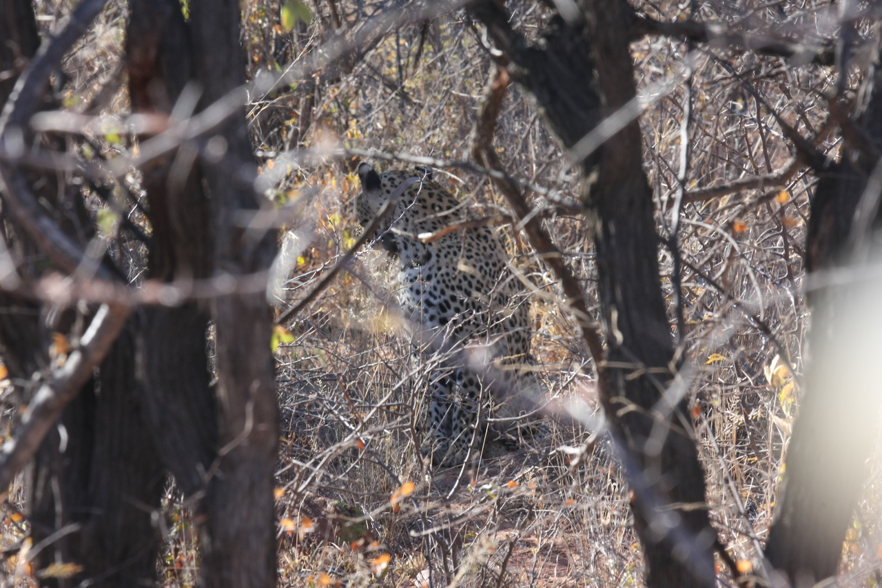 [1985] 2016_06_22_04_05_09_Africa_Canon_EOS_40D_IMG__07913.jpg