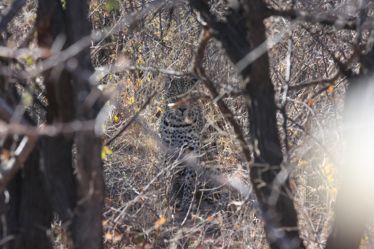 [2011] 2016_06_22_04_05_28_Africa_Canon_EOS_40D_IMG__00457.jpg