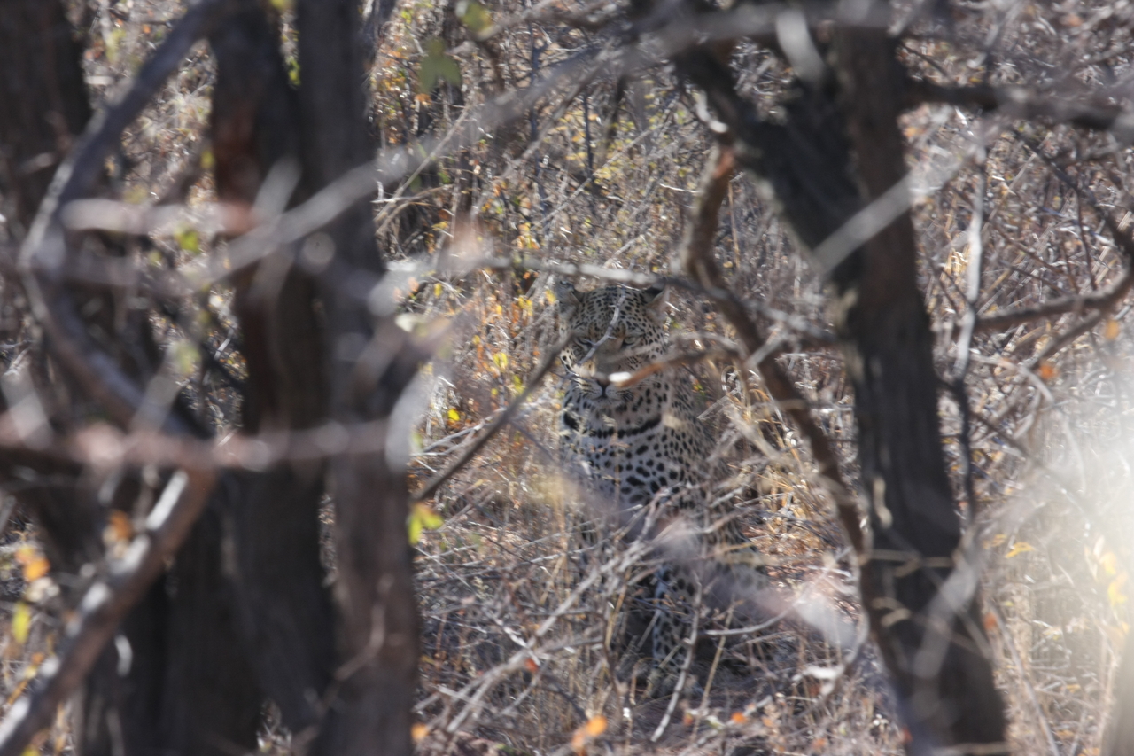 [2016] 2016_06_22_04_05_28_Africa_Canon_EOS_40D_IMG__07922.jpg