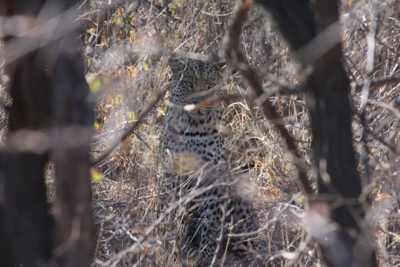 [2026] 2016_06_22_04_05_45_Africa_Canon_EOS_40D_IMG__00480.jpg