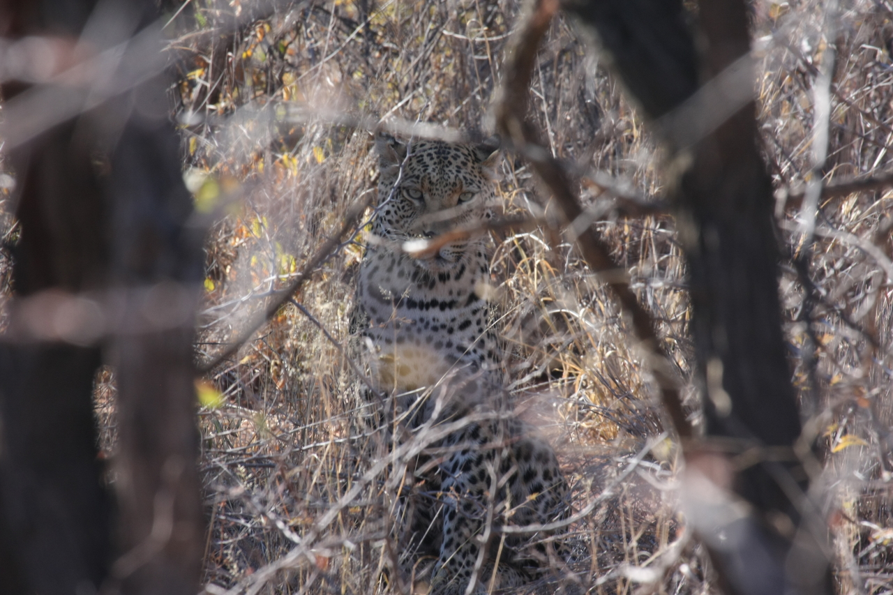 [2035] 2016_06_22_04_05_46_Africa_Canon_EOS_40D_IMG__00483.jpg