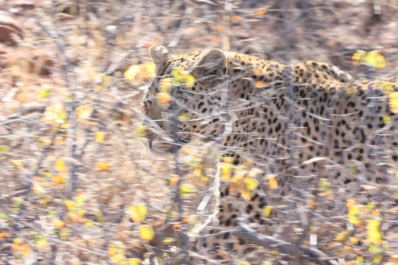 [2103] 2016_06_22_04_07_14_Africa_Canon_EOS_40D_IMG__00487.jpg