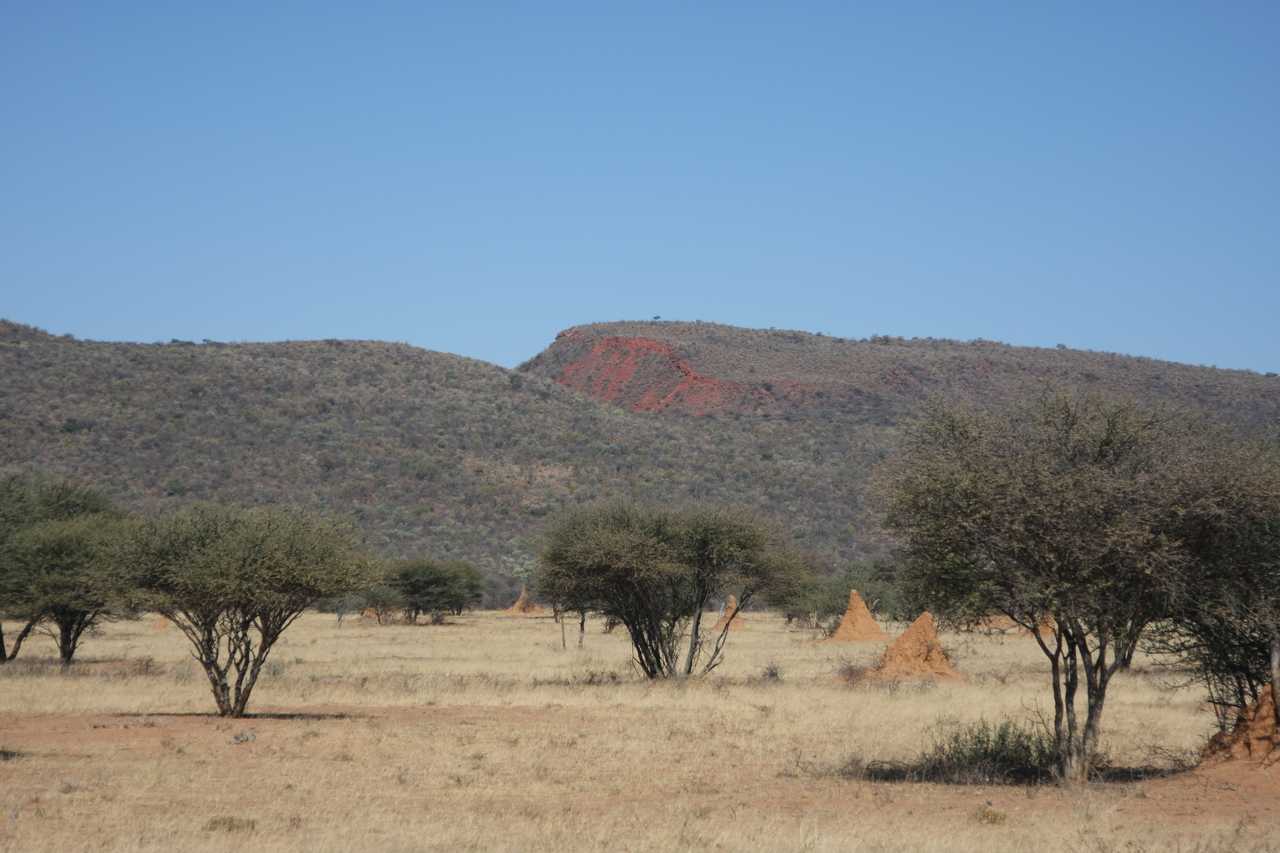 [2293] 2016_06_22_07_41_11_Africa_Canon_EOS_40D_IMG__00538.jpg