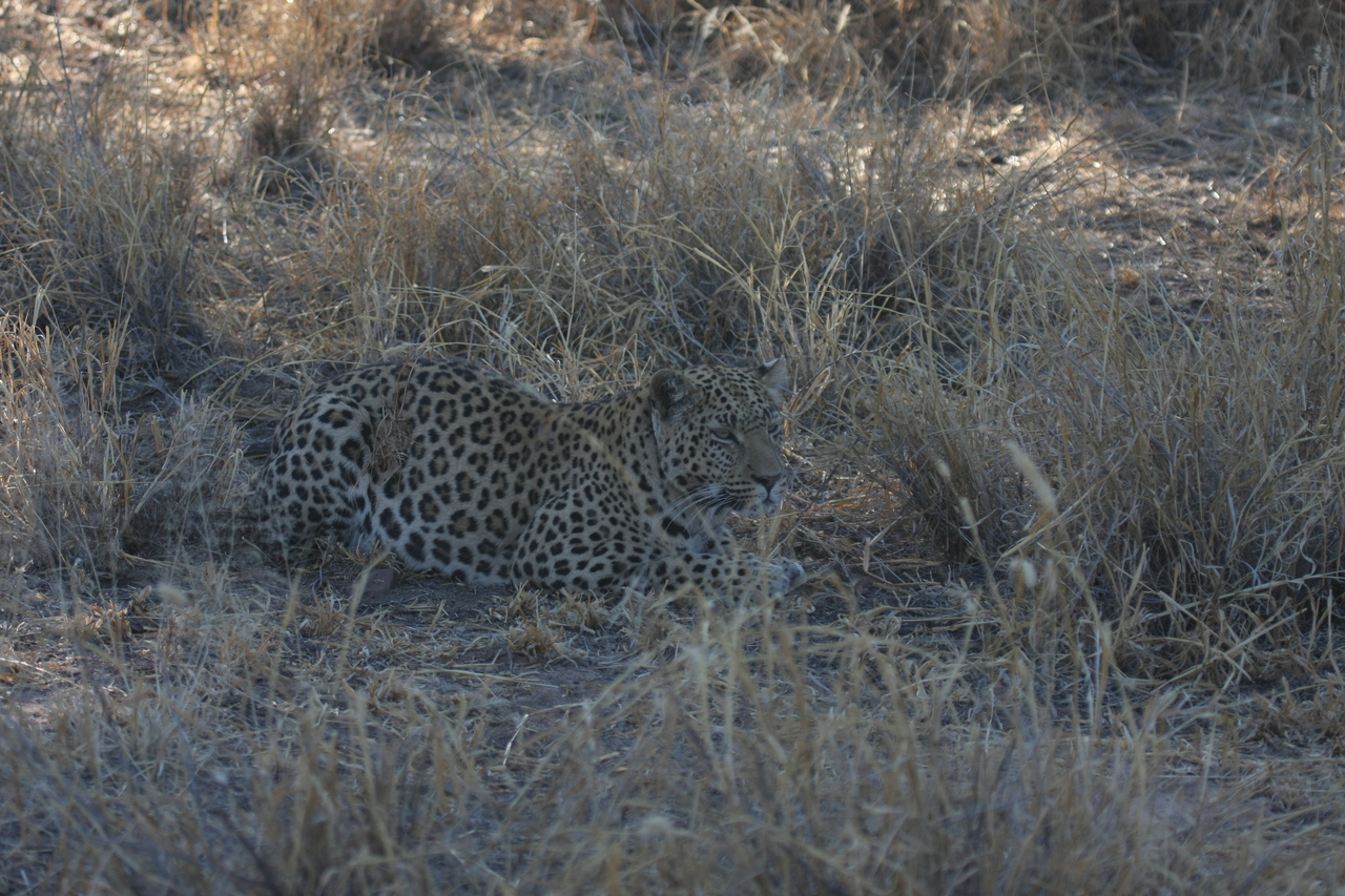 [2600] 2016_06_22_10_59_32_Africa_Canon_EOS_40D_IMG__08002.jpg