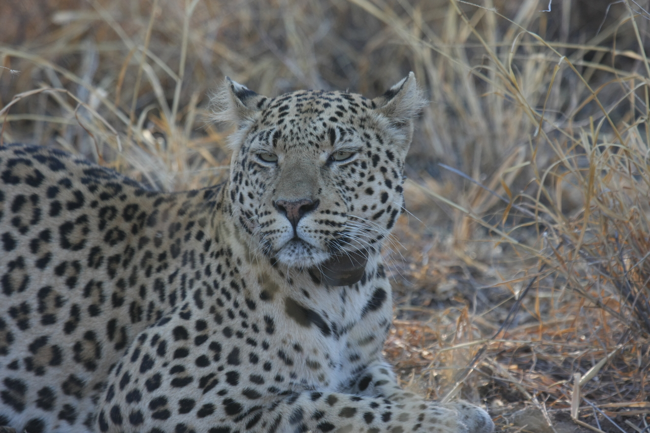 [2709] 2016_06_22_11_02_09_Africa_Canon_EOS_40D_IMG__00575.jpg