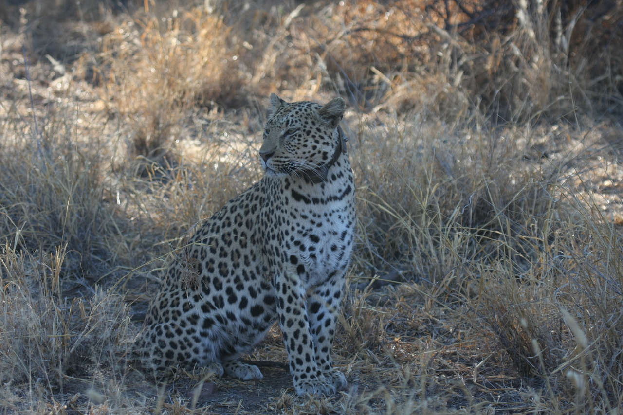 [2756] 2016_06_22_11_02_33_Africa_Canon_EOS_40D_IMG__08054.jpg