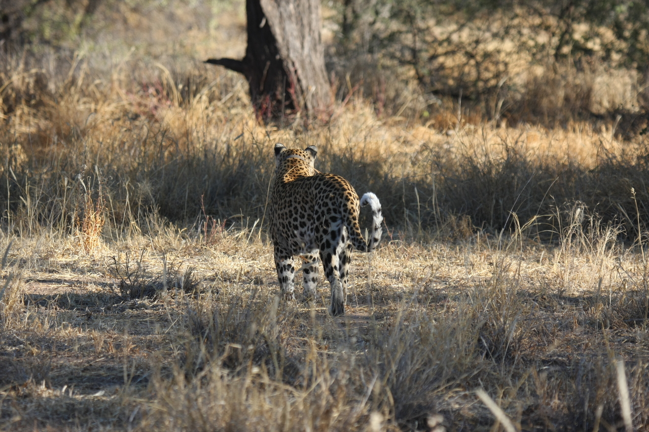 [2821] 2016_06_22_11_03_34_Africa_Canon_EOS_40D_IMG__00609.jpg