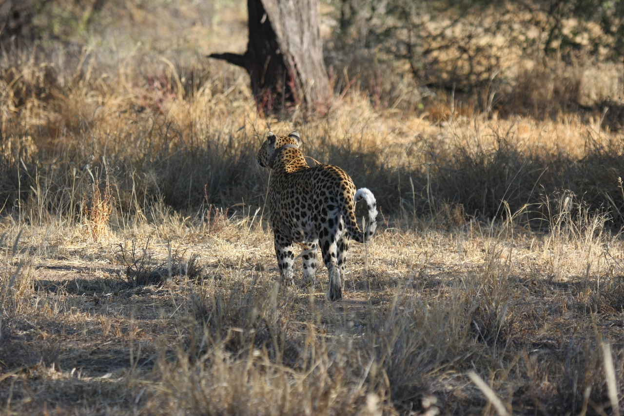 [2829] 2016_06_22_11_03_38_Africa_Canon_EOS_40D_IMG__00630.jpg