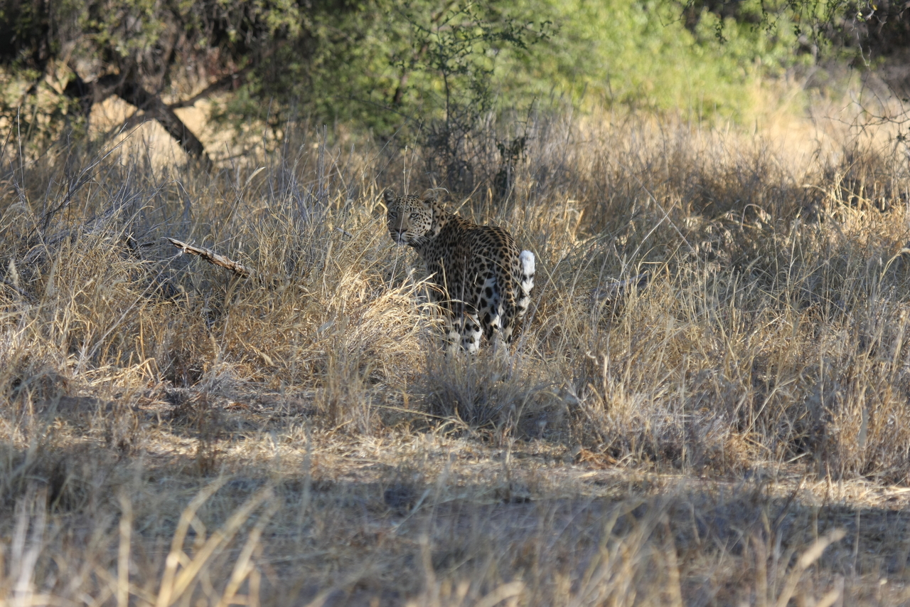 [2841] 2016_06_22_11_04_00_Africa_Canon_EOS_40D_IMG__08081.jpg