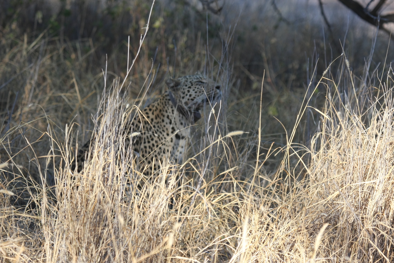 [2912] 2016_06_22_11_06_25_Africa_Canon_EOS_40D_IMG__00640.jpg