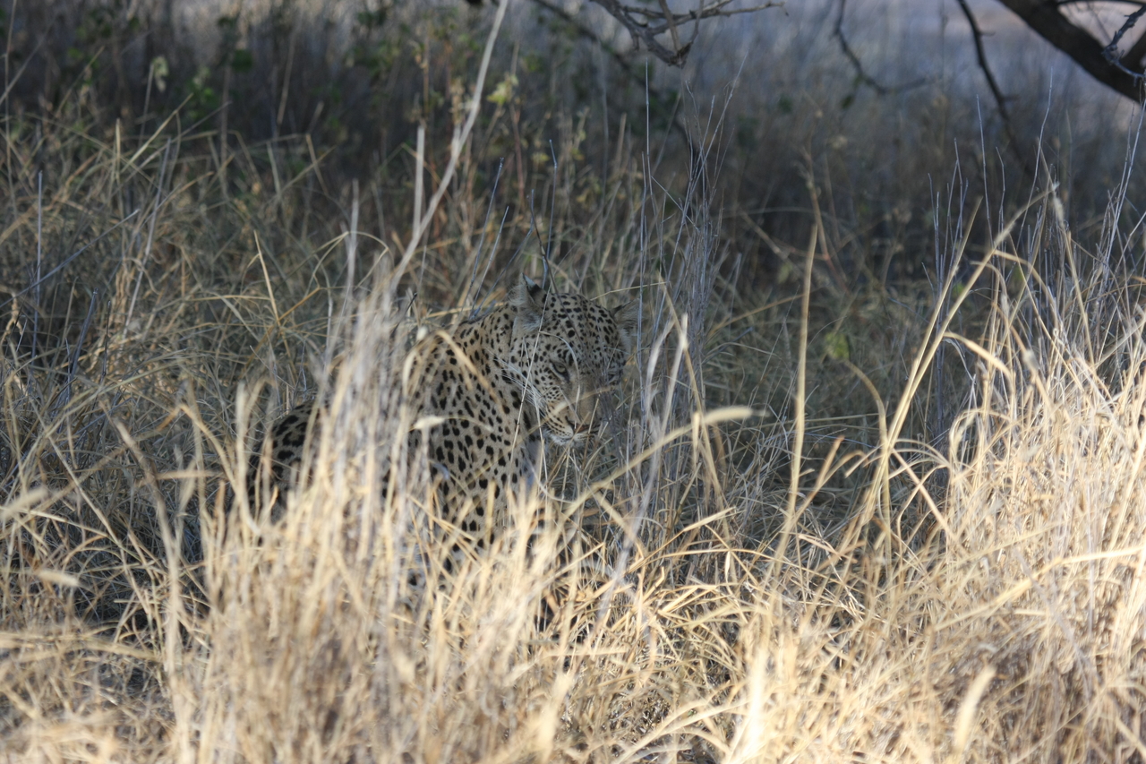 [2924] 2016_06_22_11_06_26_Africa_Canon_EOS_40D_IMG__08108.jpg