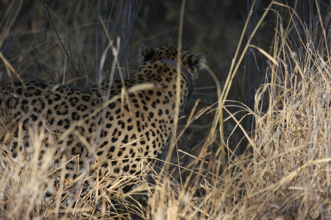 [2930] 2016_06_22_11_06_37_Africa_Canon_EOS_40D_IMG__00664.jpg