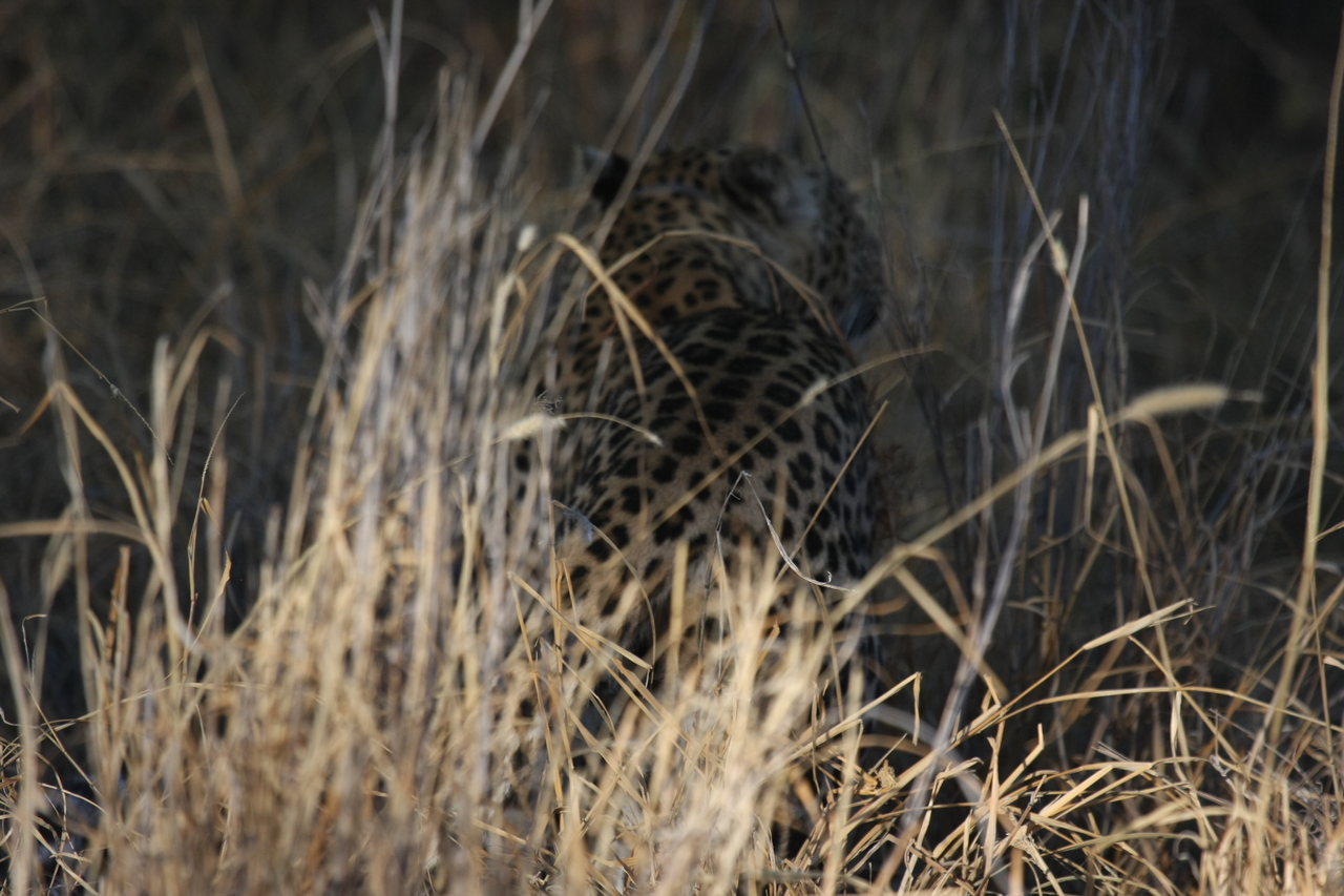 [2932] 2016_06_22_11_06_42_Africa_Canon_EOS_40D_IMG__00646.jpg