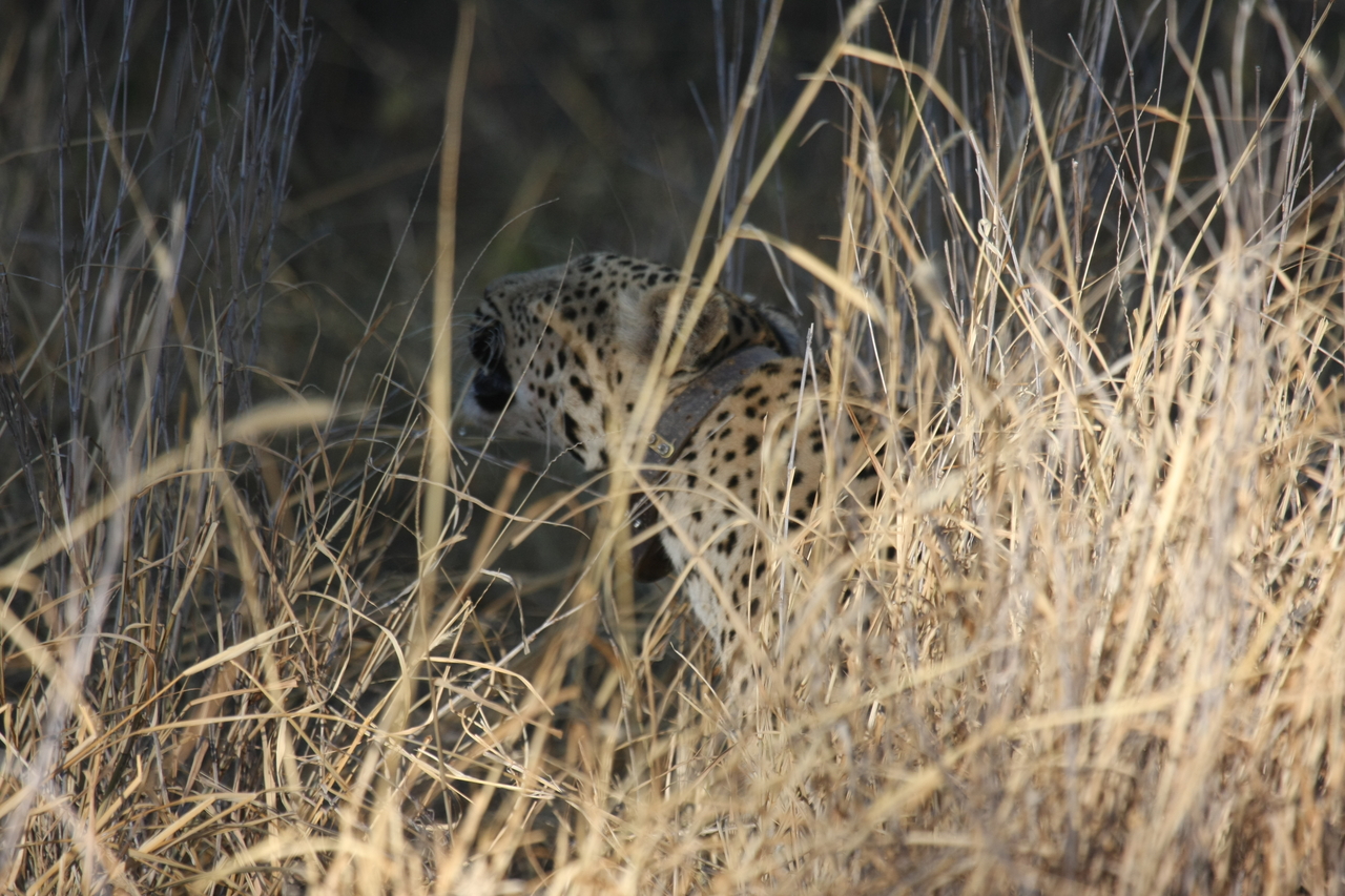 [2950] 2016_06_22_11_07_40_Africa_Canon_EOS_40D_IMG__00652.jpg