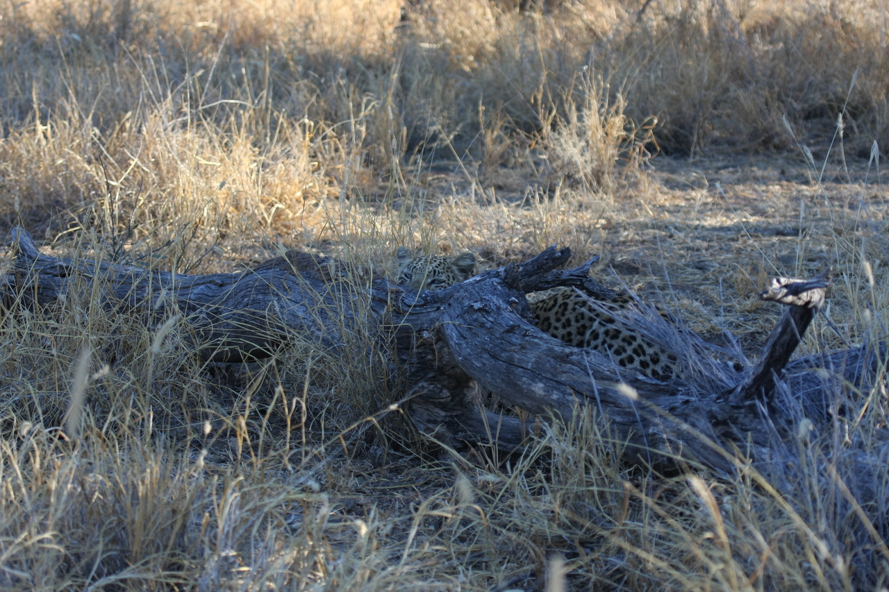 [3028] 2016_06_22_11_18_52_Africa_Canon_EOS_40D_IMG__00691.jpg