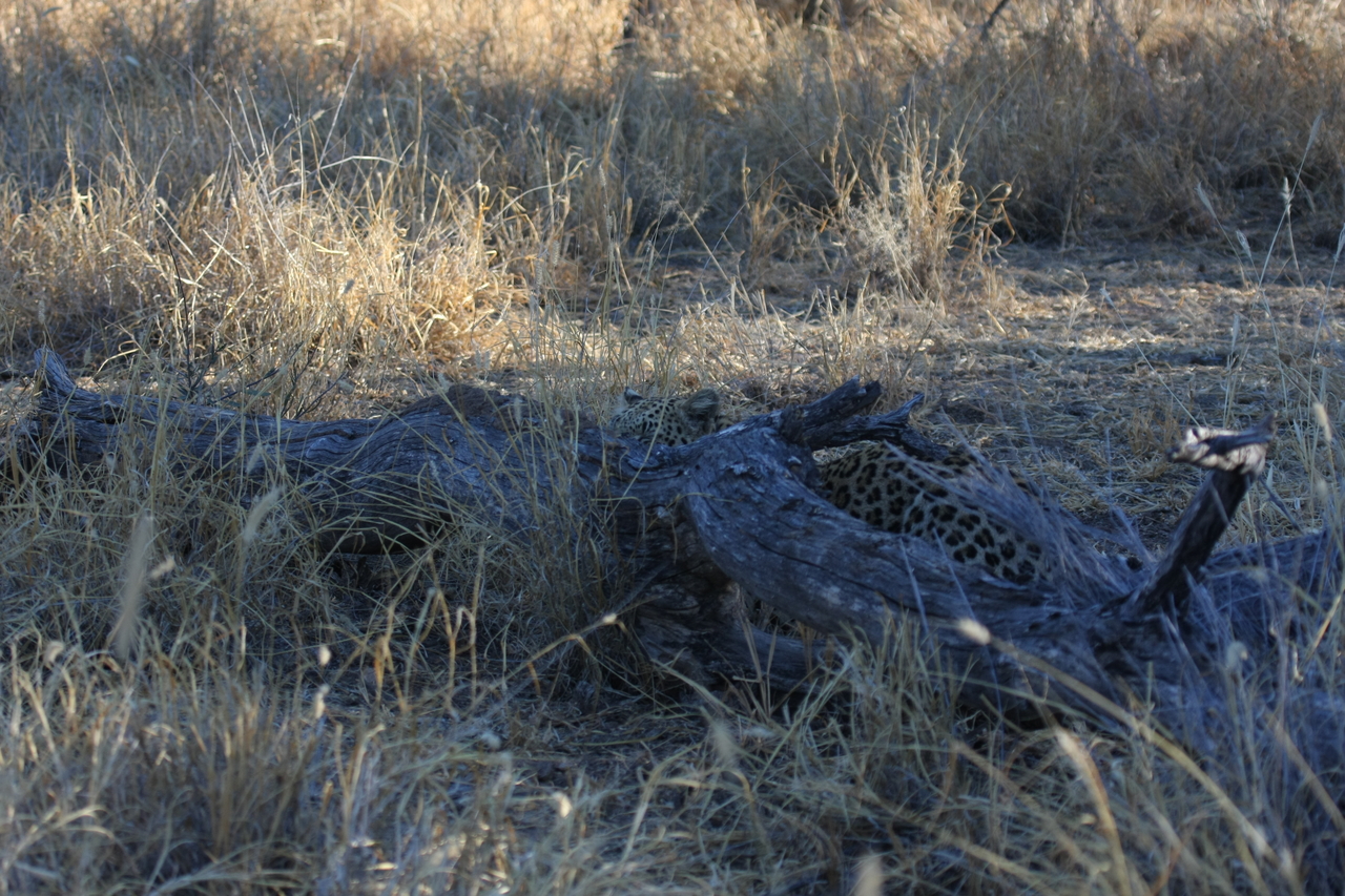 [3033] 2016_06_22_11_18_56_Africa_Canon_EOS_40D_IMG__00675.jpg