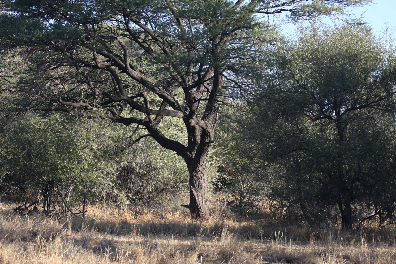 [3043] 2016_06_22_11_20_13_Africa_Canon_EOS_40D_IMG__08143.jpg