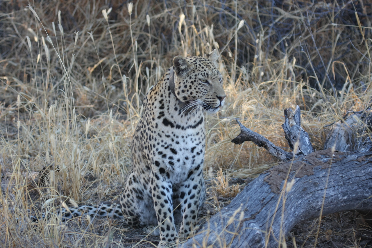 [3107] 2016_06_22_11_22_47_Africa_Canon_EOS_40D_IMG__00717.jpg