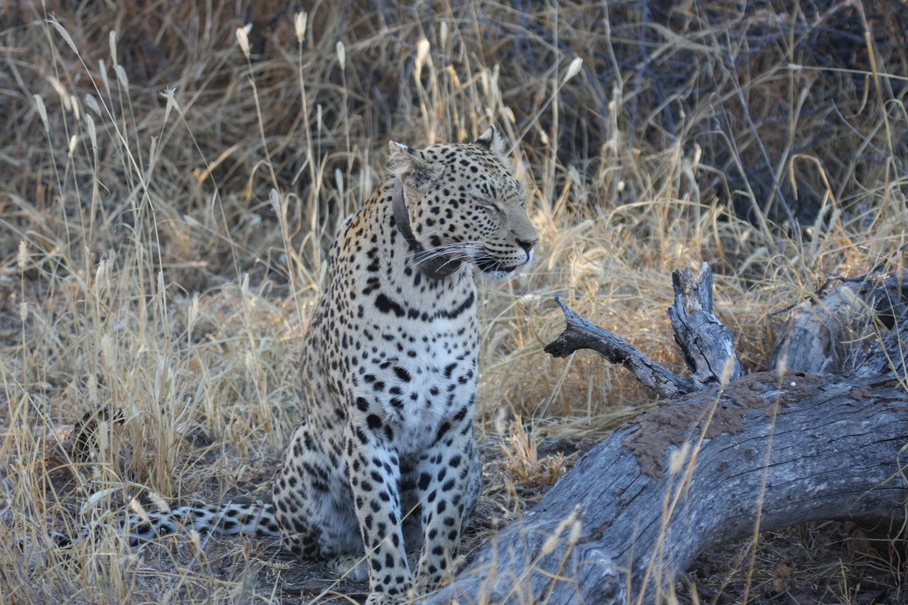 [3112] 2016_06_22_11_22_48_Africa_Canon_EOS_40D_IMG__00700.jpg