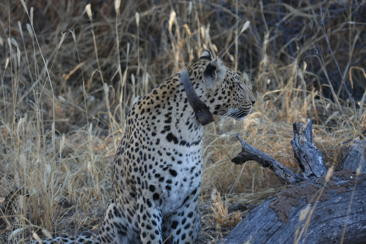 [3216] 2016_06_22_11_23_35_Africa_Canon_EOS_40D_IMG__00730.jpg