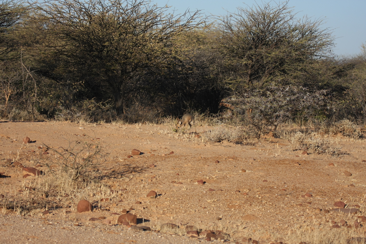 [3253] 2016_06_22_11_32_03_Africa_Canon_EOS_40D_IMG__08205.jpg