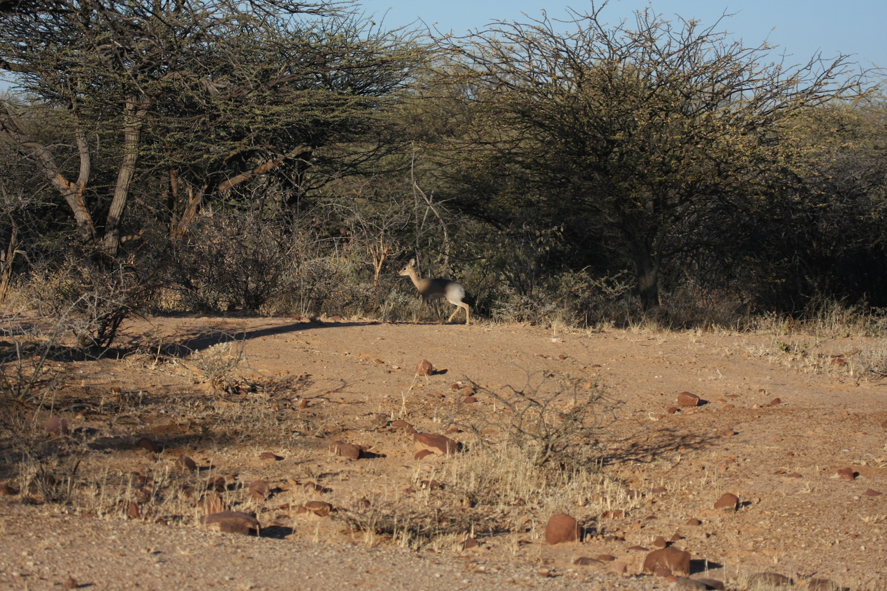 [3262] 2016_06_22_11_32_09_Africa_Canon_EOS_40D_IMG__08208.jpg